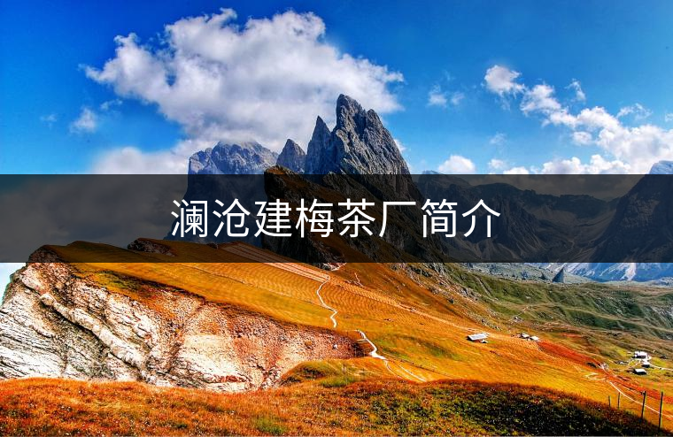 瀾滄建梅茶廠簡介