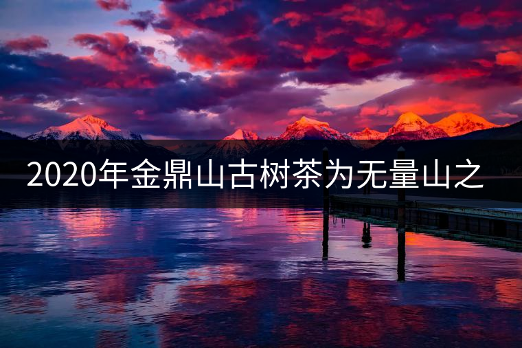2020年金鼎山古樹茶為無量山之魂 -易武中聘號 2020年金鼎山古樹茶為無量山之魂 -易武中聘號