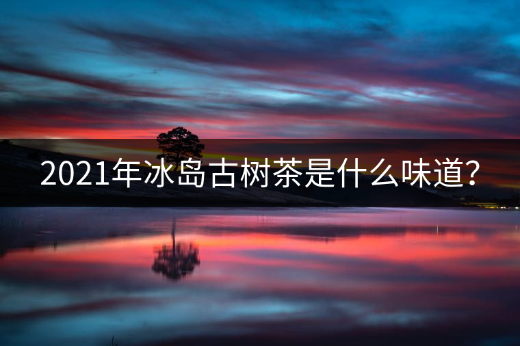 2021年冰島古樹茶是什么味道？