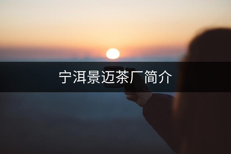 寧洱景邁茶廠簡(jiǎn)介