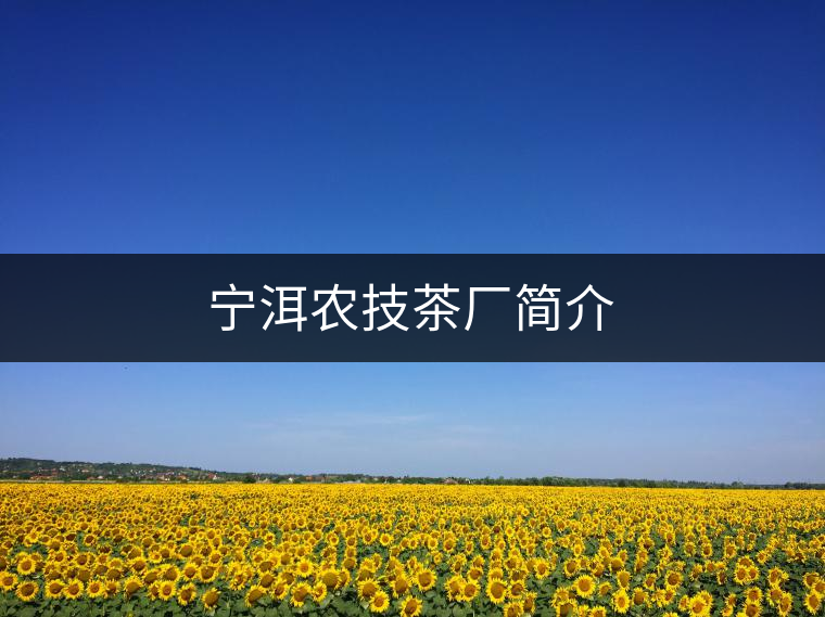 寧洱農(nóng)技茶廠簡(jiǎn)介