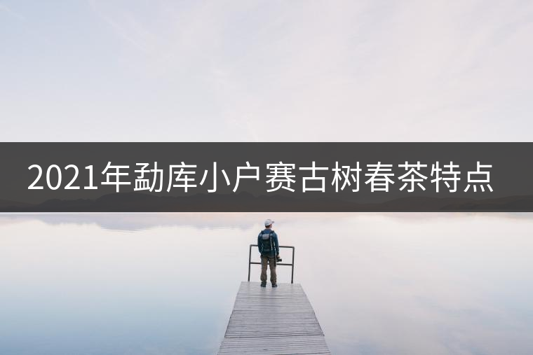 2021年勐庫(kù)小戶賽古樹春茶特點(diǎn)？