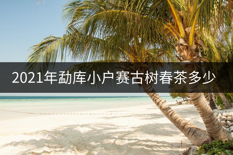 2021年勐庫小戶賽古樹春茶多少錢一公斤？