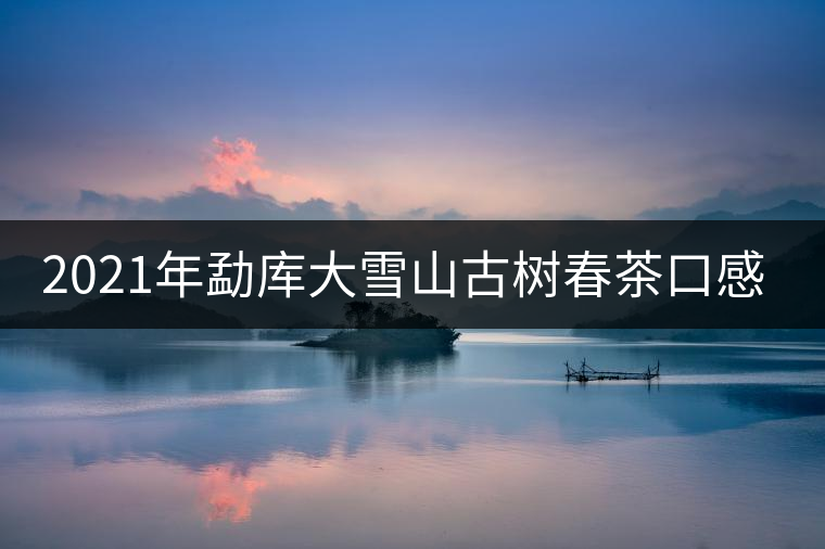2021年勐庫大雪山古樹春茶口感特點(diǎn)？