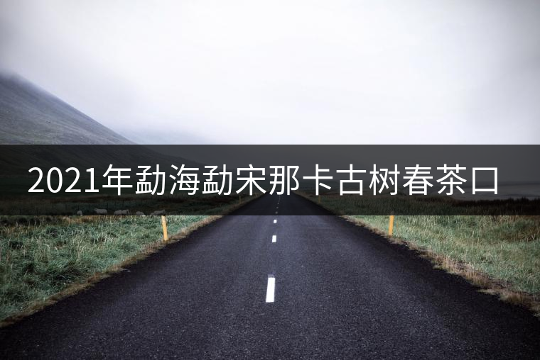 2021年勐海勐宋那卡古樹春茶口感？