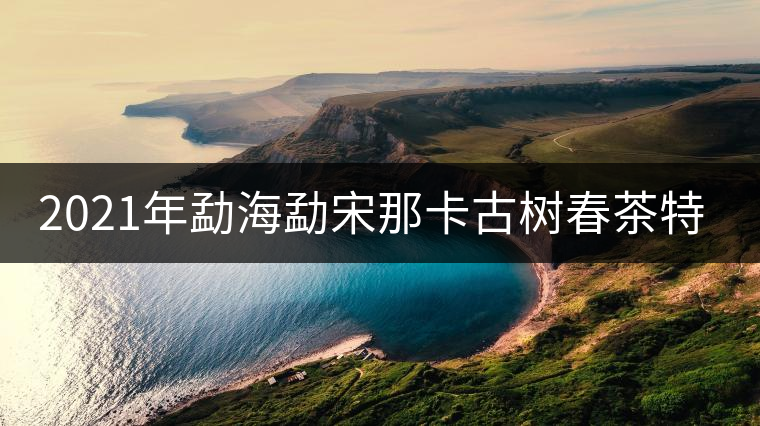 2021年勐海勐宋那卡古樹春茶特點(diǎn)？