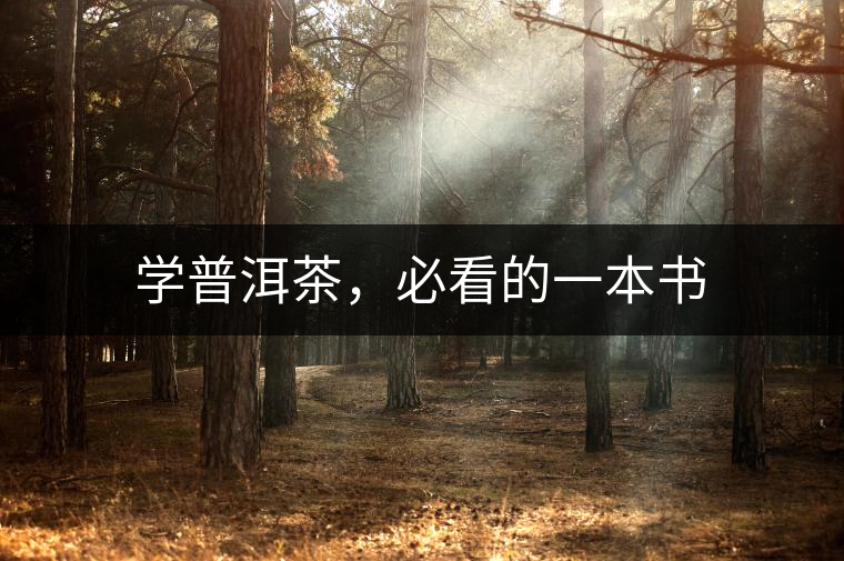 學普洱茶，必看的一本書