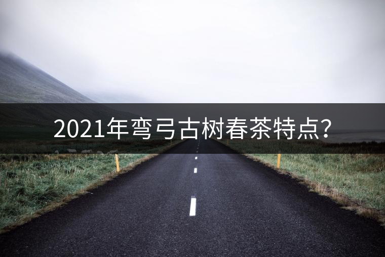 2021年彎弓古樹春茶特點(diǎn)？