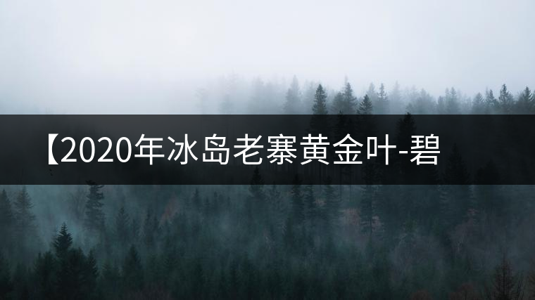 【2020年冰島老寨黃金葉-碧波蕩漾一抹香，輕啜半盞甘若露。