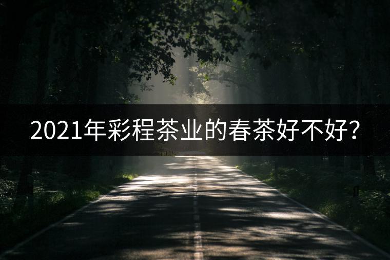 2021年彩程茶業(yè)的春茶好不好？