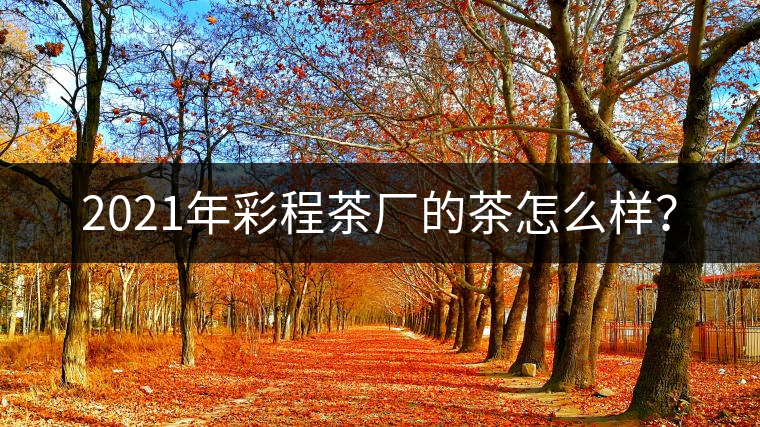 2021年彩程茶廠的茶怎么樣？