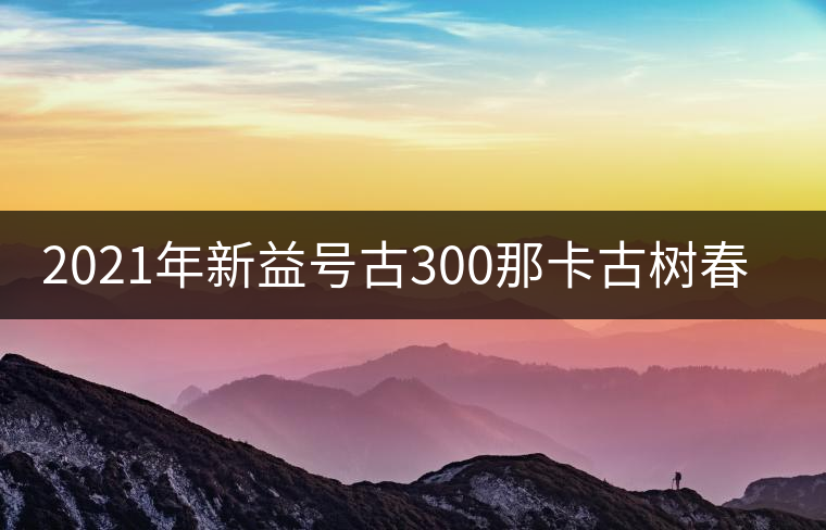 2021年新益號(hào)古300那卡古樹春茶口感怎么樣？