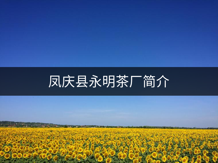 鳳慶縣永明茶廠簡(jiǎn)介