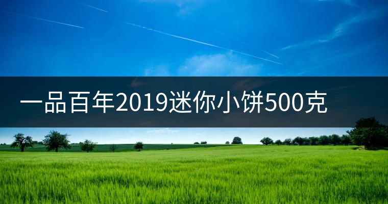 一品百年2019迷你小餅500克古樹(shù)生茶品質(zhì)好不好？
