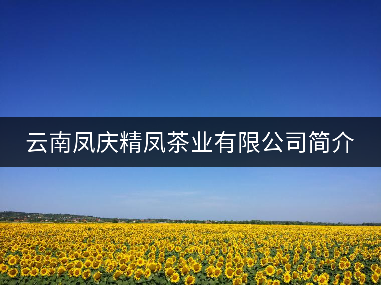 云南鳳慶精鳳茶業(yè)有限公司簡(jiǎn)介 云南鳳慶精鳳茶業(yè)有限公司簡(jiǎn)介