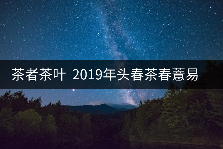 茶者茶葉  2019年頭春茶春薏易武古樹茶  值得收藏嗎？