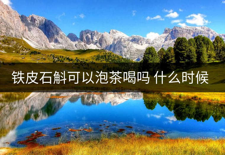 鐵皮石斛可以泡茶喝嗎 什么時(shí)候喝好