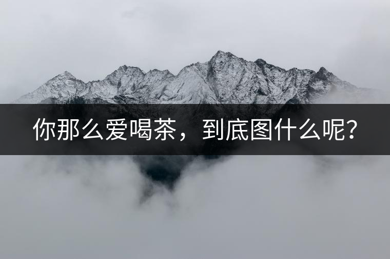 你那么愛喝茶，到底圖什么呢？
