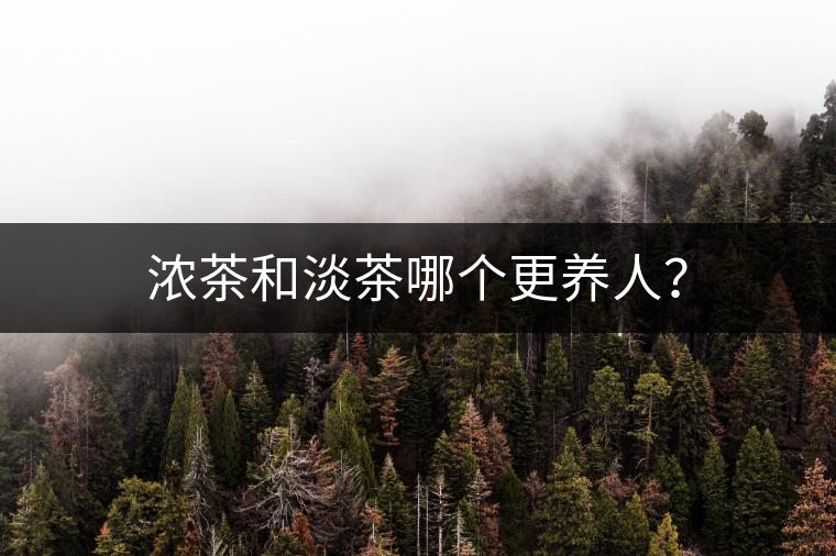 濃茶和淡茶哪個更養(yǎng)人？