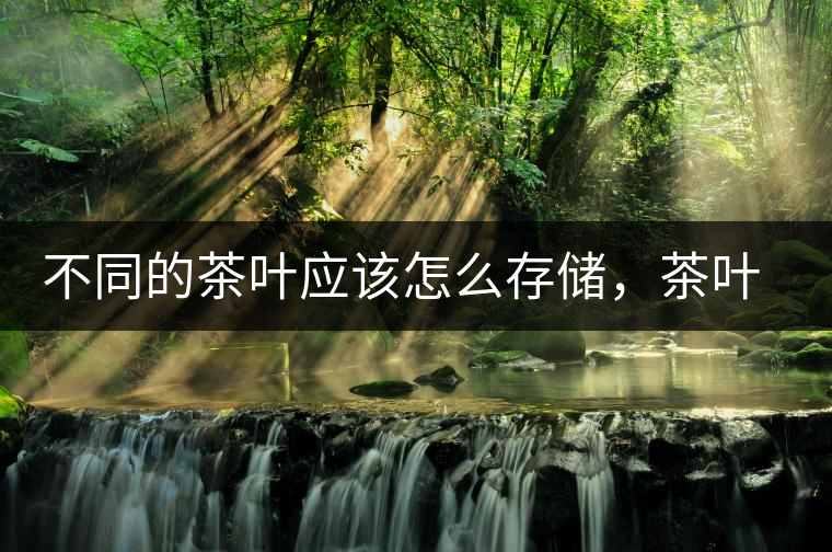 不同的茶葉應該怎么存儲，茶葉罐又該如何選擇？