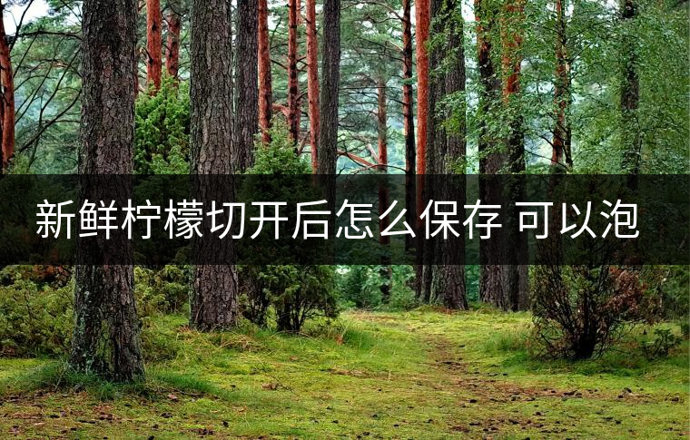 新鮮檸檬切開(kāi)后怎么保存 可以泡幾次 新鮮檸檬切開(kāi)后怎么保存 可以泡幾次
