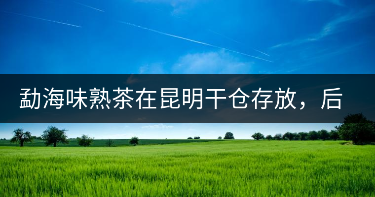 勐海味熟茶在昆明干倉(cāng)存放，后期轉(zhuǎn)化如何呢？