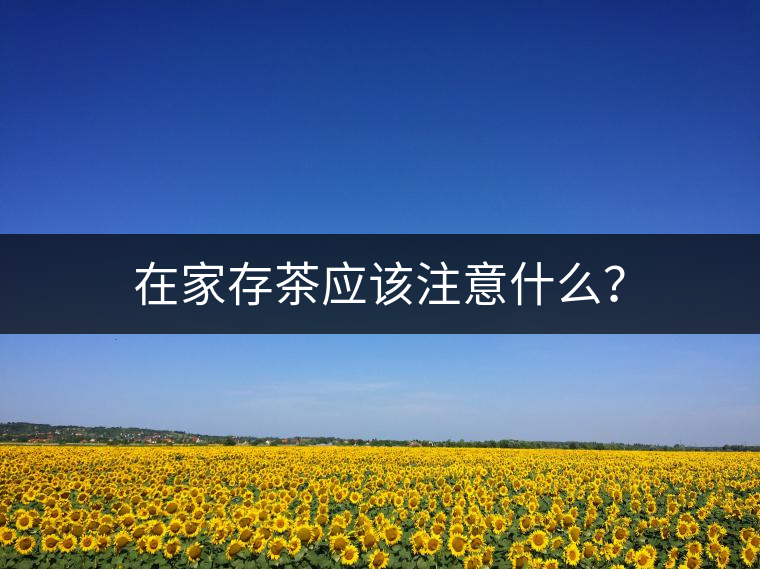 在家存茶應(yīng)該注意什么？