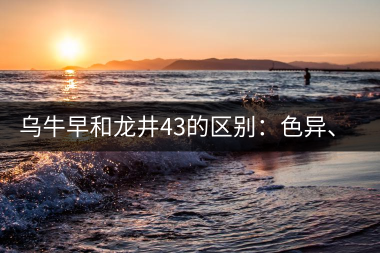 烏牛早和龍井43的區(qū)別：色異、香異、形異