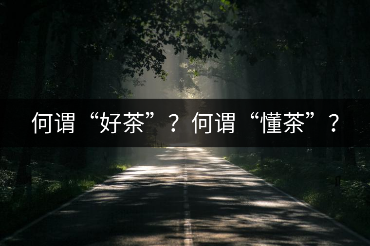 何謂“好茶”？何謂“懂茶”？