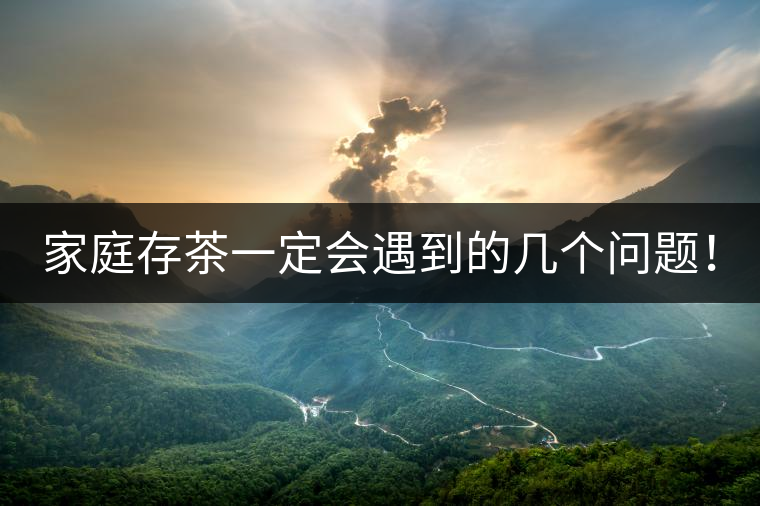 家庭存茶一定會(huì)遇到的幾個(gè)問(wèn)題！