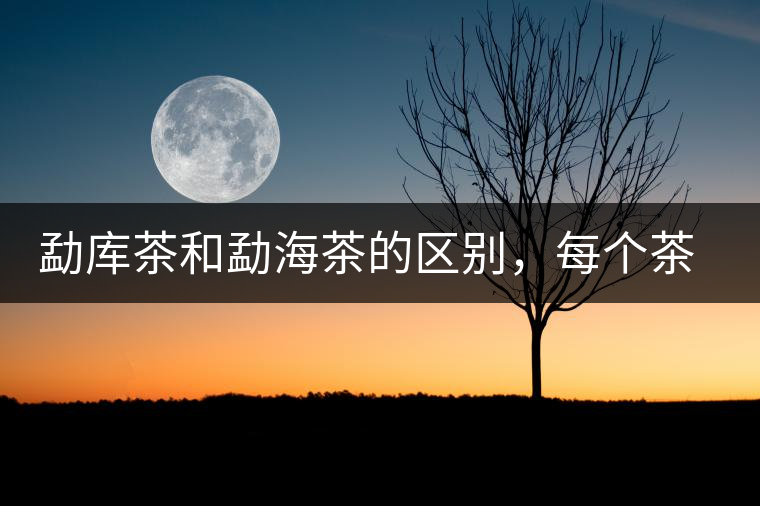 勐庫(kù)茶和勐海茶的區(qū)別，每個(gè)茶友都該了解的選茶常識(shí)！