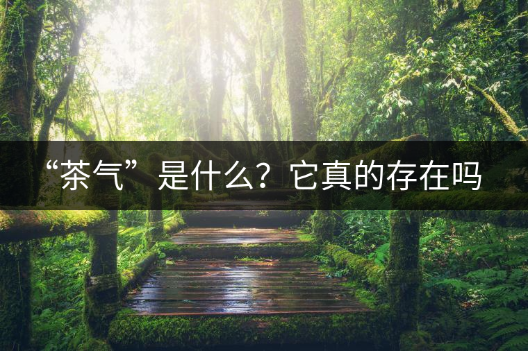 “茶氣”是什么？它真的存在嗎？