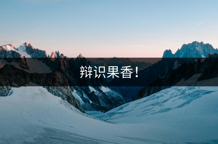 辯識果香！