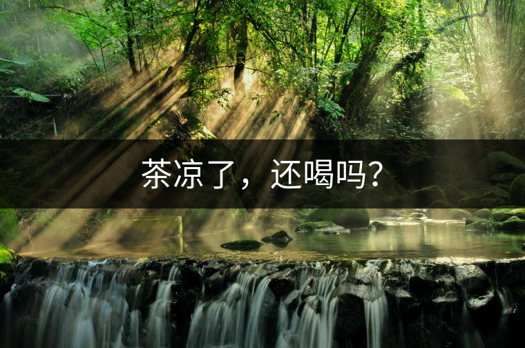 茶涼了，還喝嗎？
