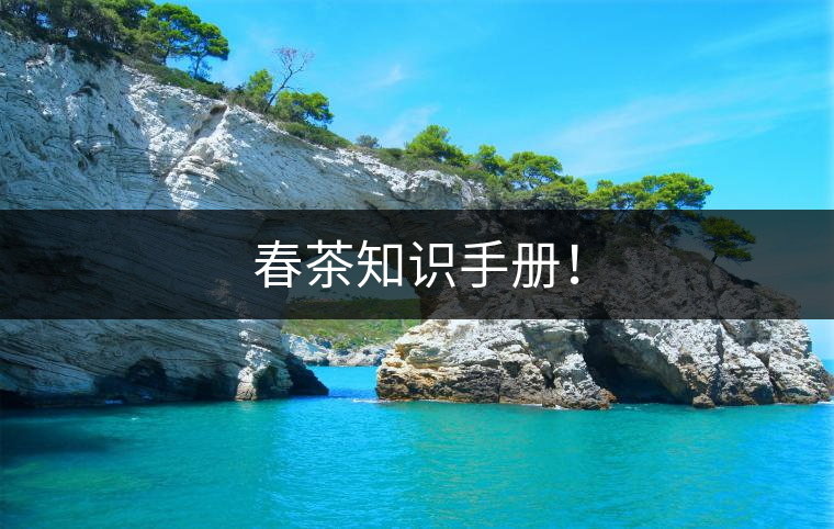 春茶知識手冊！