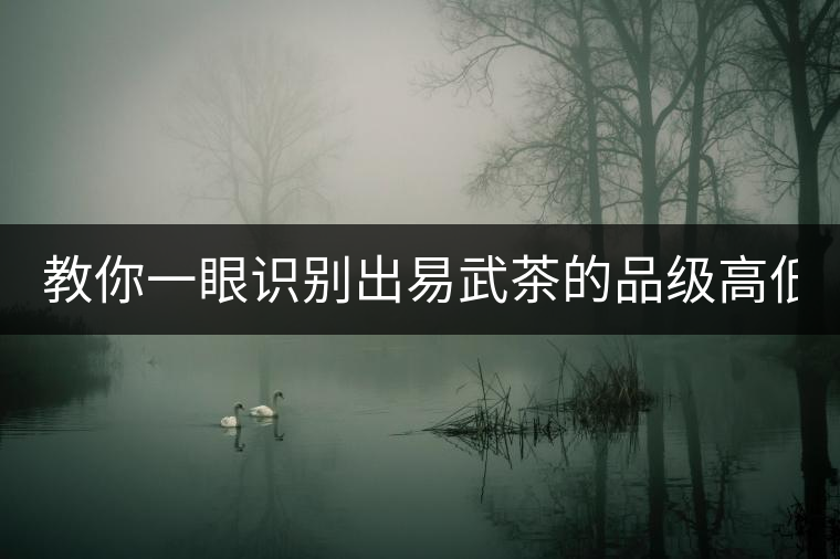 教你一眼識(shí)別出易武茶的品級(jí)高低！