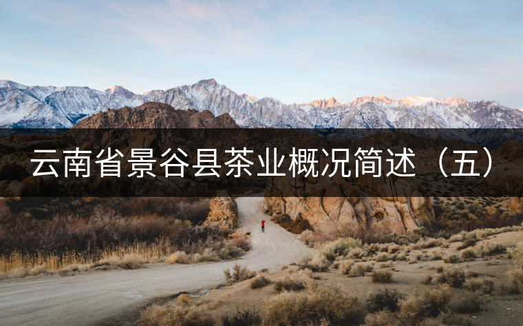 云南省景谷縣茶業(yè)概況簡(jiǎn)述(五) 云南省景谷縣茶業(yè)概況簡(jiǎn)述(五)