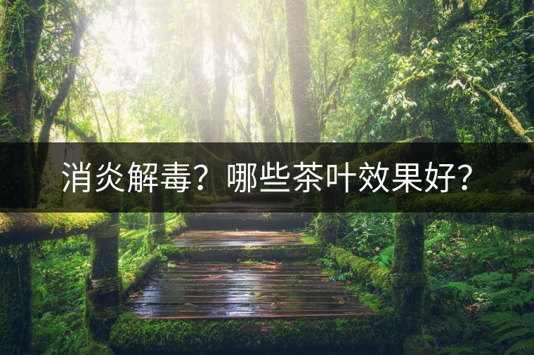 消炎解毒？哪些茶葉效果好？