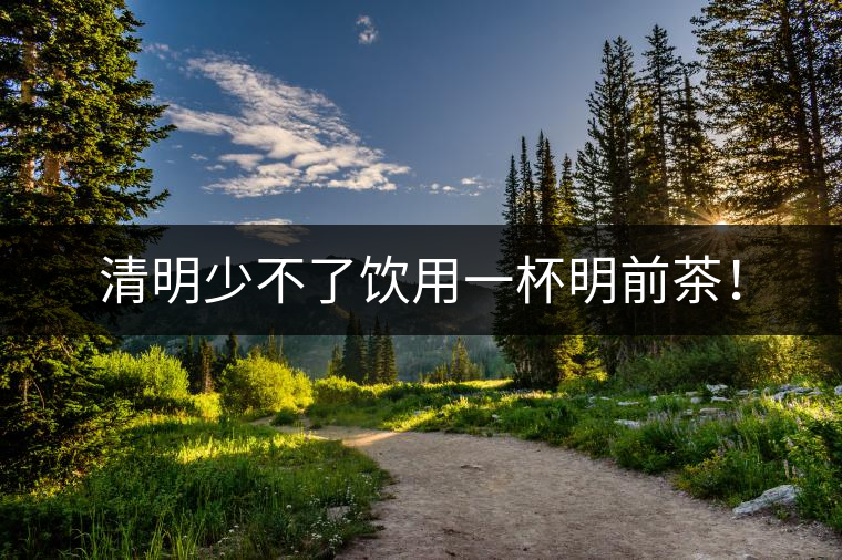 清明少不了飲用一杯明前茶！