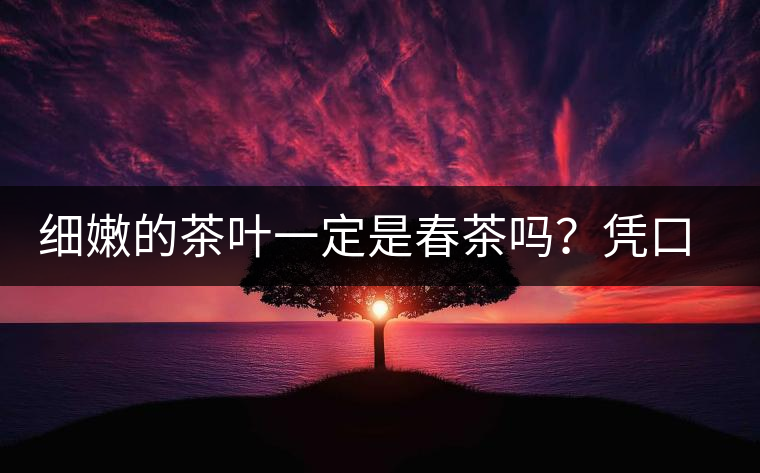 細(xì)嫩的茶葉一定是春茶嗎？憑口感鑒別春茶的方法