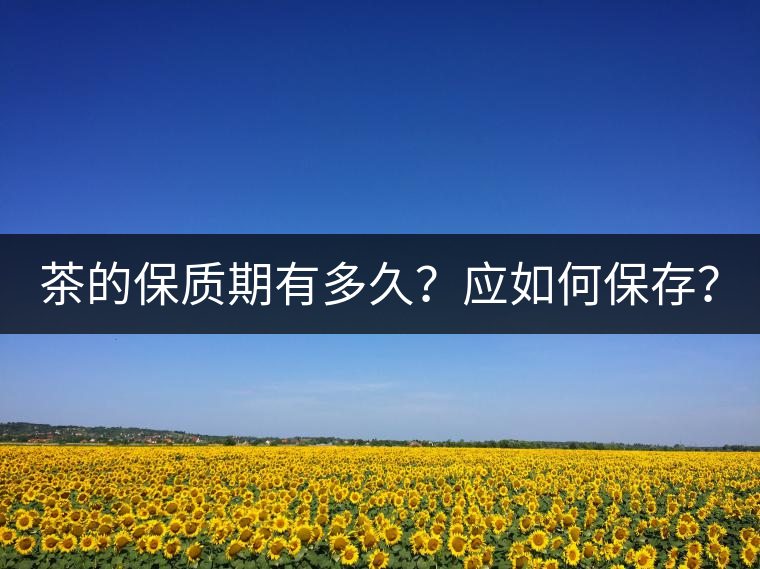 茶的保質(zhì)期有多久？應(yīng)如何保存？