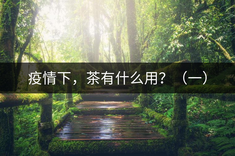 疫情下，茶有什么用？（一）