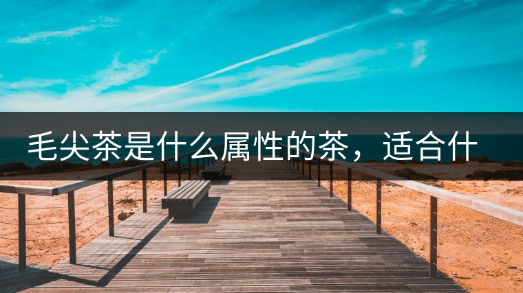 毛尖茶是什么屬性的茶，適合什么群體品飲？