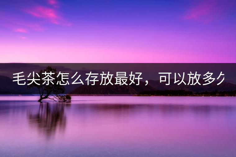 毛尖茶怎么存放最好，可以放多久？