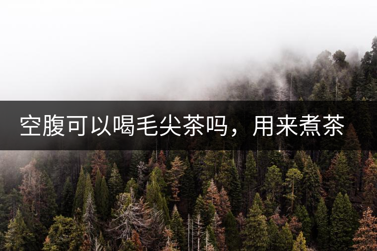 空腹可以喝毛尖茶嗎，用來煮茶葉蛋怎么樣？