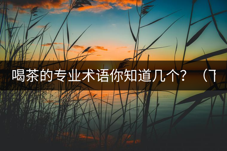 喝茶的專業(yè)術(shù)語你知道幾個？（下篇）