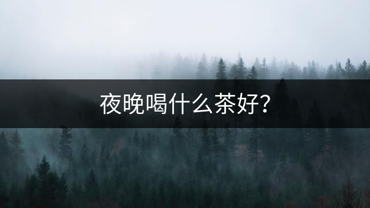 夜晚喝什么茶好？