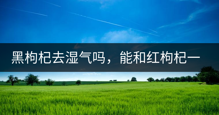 黑枸杞去濕氣嗎，能和紅枸杞一起泡嗎？