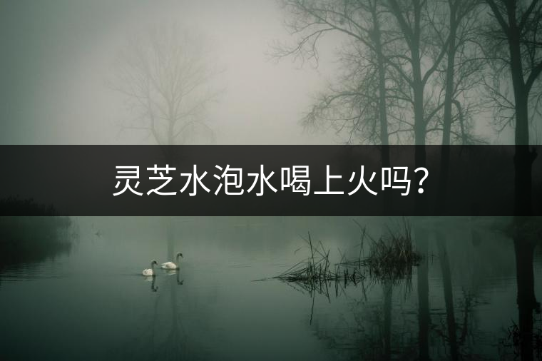 靈芝水泡水喝上火嗎？