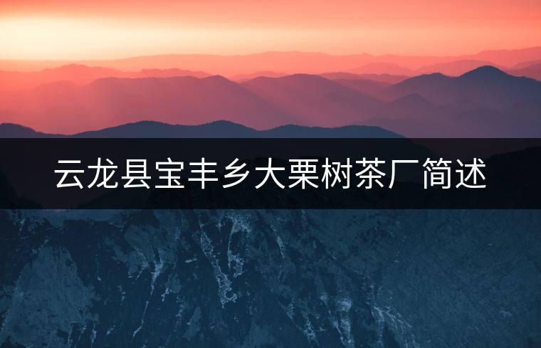 云龍縣寶豐鄉(xiāng)大栗樹(shù)茶廠簡(jiǎn)述 云龍縣寶豐鄉(xiāng)大栗樹(shù)茶廠簡(jiǎn)述